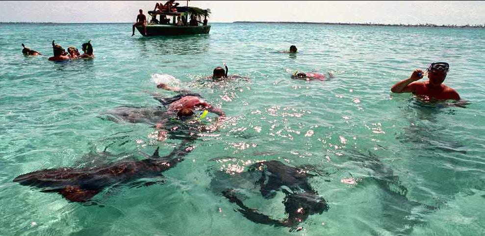 To is swim safe in belize? it Belize Luxury